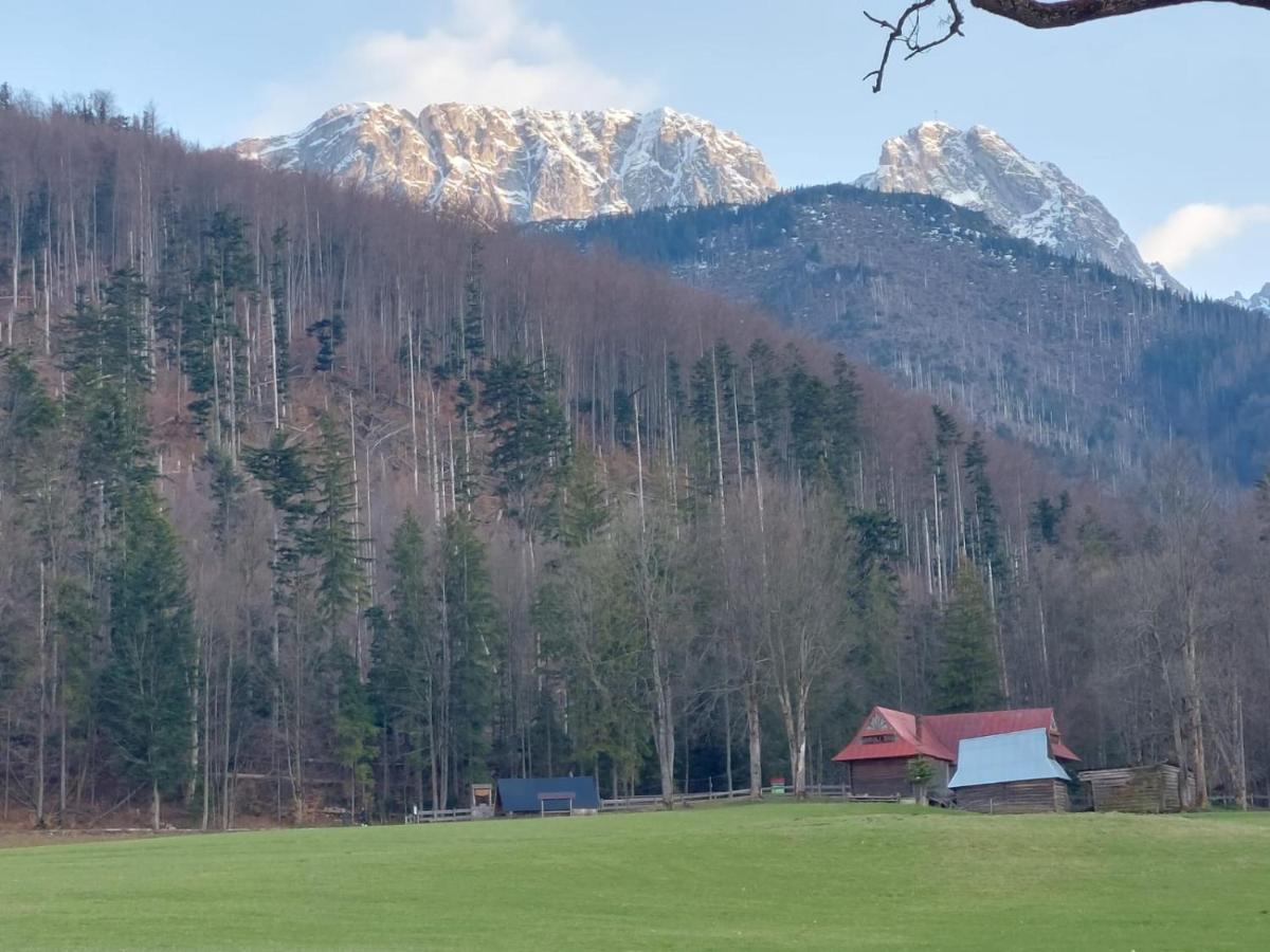 Apartament 3 Strazyska 21A Zakopane Dış mekan fotoğraf